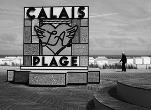 Désinsectisation dératisation Calais